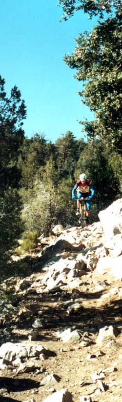 bear mountain bike trails